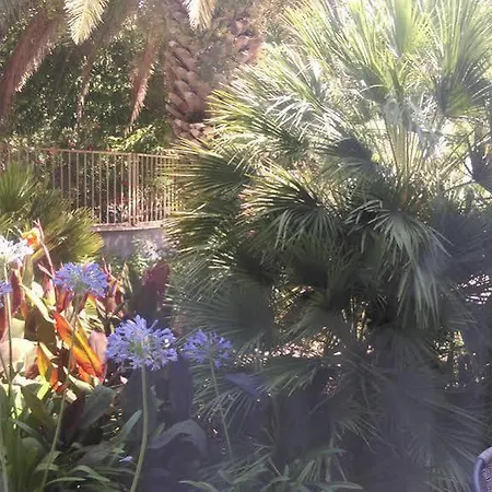 Okuka Apartman *