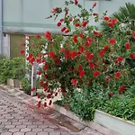 Okuka شقة *
