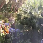 Okuka شقة *