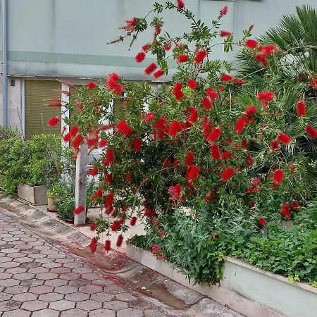 Okuka Апартаменти *