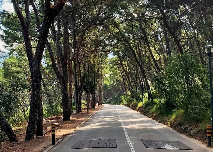 Okuka 아파트 스플리트